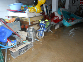 Inundaciones y daos por agua