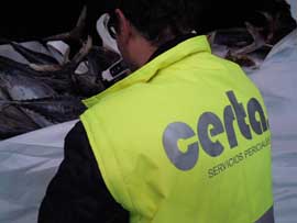 Inspeccin efectuada por Comisarios de Averas